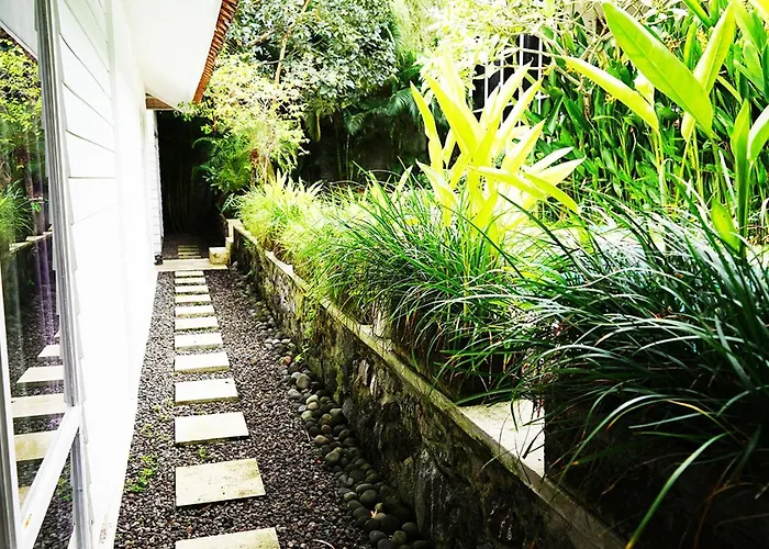 Villa 3 Bedroom With Private Pool In Berawa
