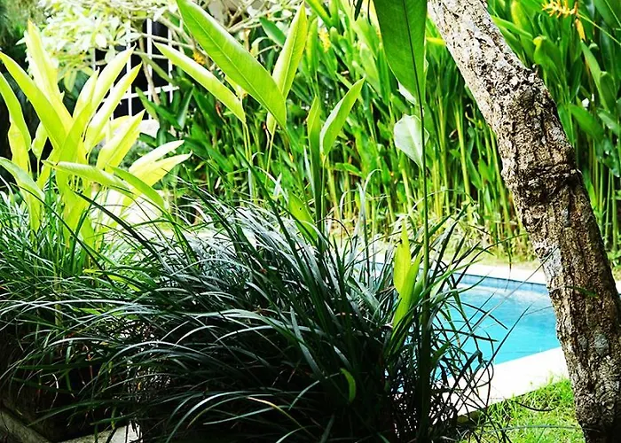 3 Bedroom With Private Pool In Berawa Villa *