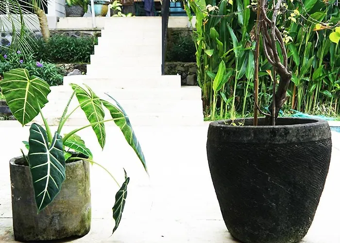 3 Bedroom With Private Pool In Berawa Canggu